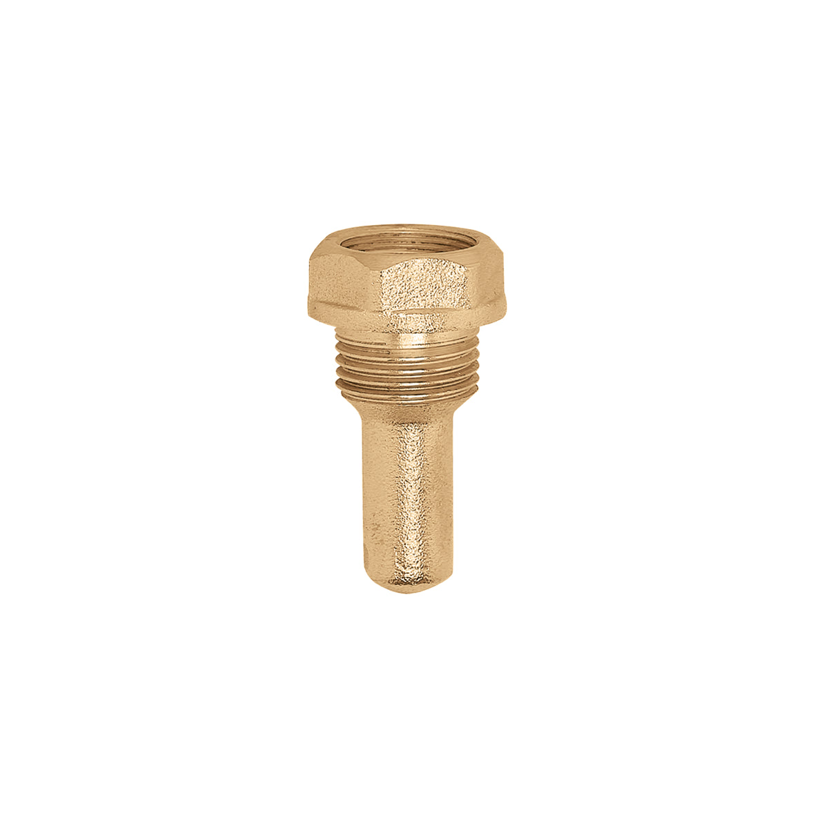 Pozzetto controllo Caleffi serie 694 INAIL ex ISPESL da 1/2 pollice