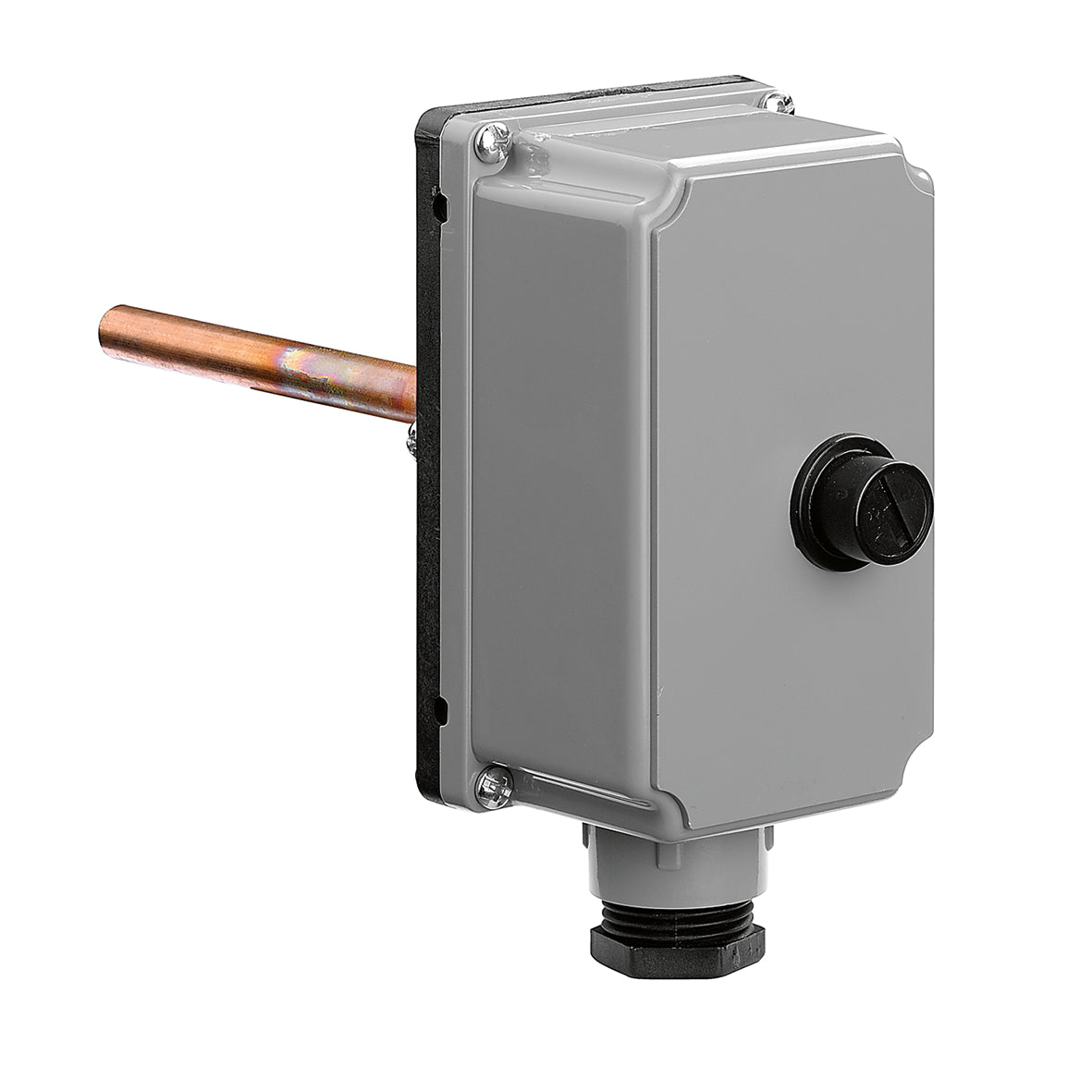 Termostato di sicurezza a immersione Caleffi serie 624 con riarmo manuale, attacco G 1/2 M per pozzetto non incluso, varianti 96 e 110 gradi